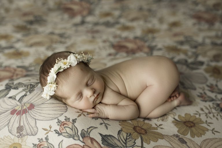 frisco newborn photographer