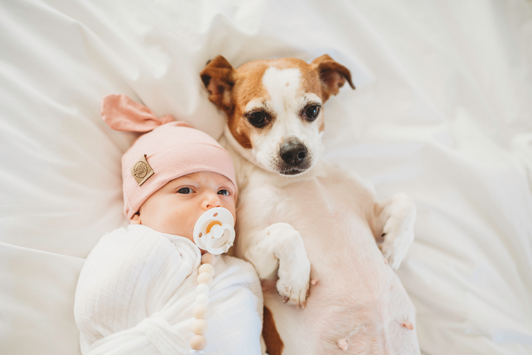 baby and dog photo