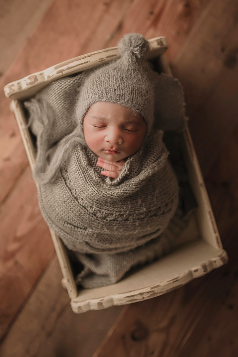 plano newborn photographer