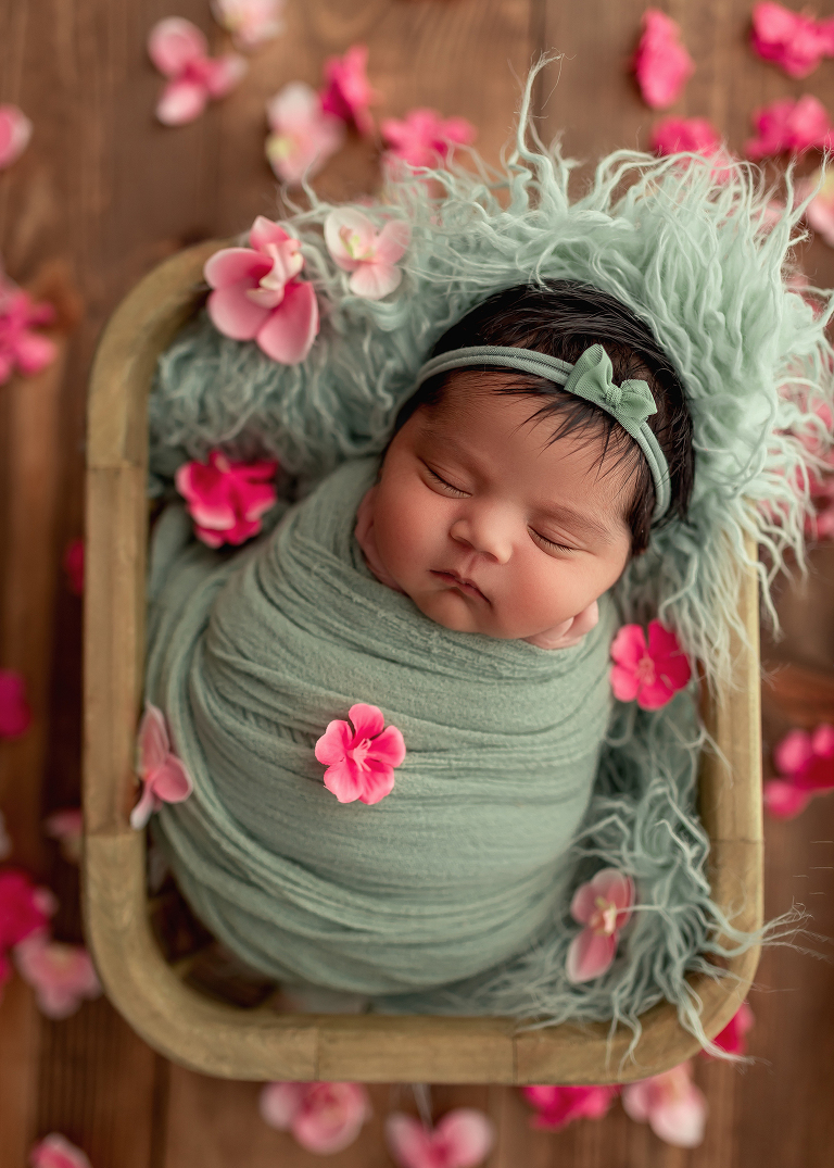 North Dallas Newborn Photographer