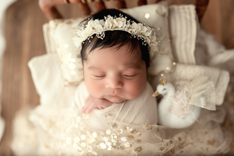 North Dallas Newborn Photographer